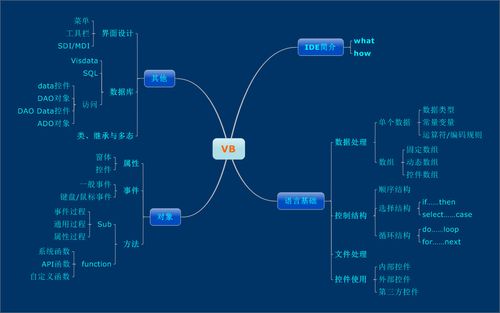 VB简单知识知识与牛(vb知识点)