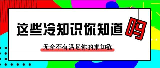 网红冷知识文章(冷知识素材)