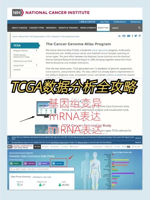 tcga数据分析-tcga数据分析网站