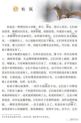 关于松鼠的知识和文章-关于松鼠的知识和文章有哪些