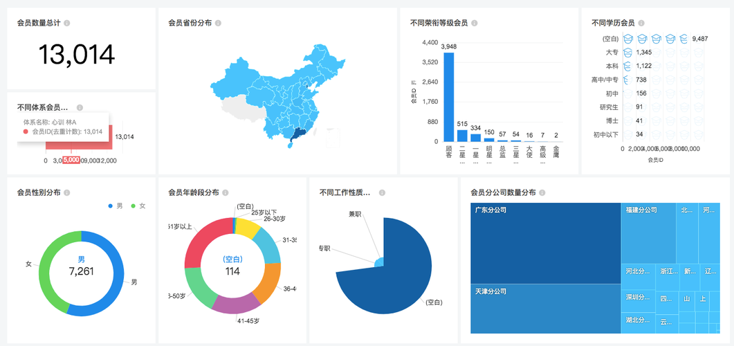 会员销售数据分析-会员销售数据分析报告