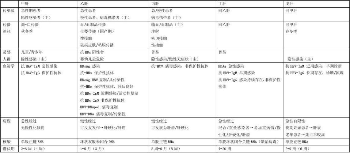 肝病的相关知识文章题目-有关肝病的知识