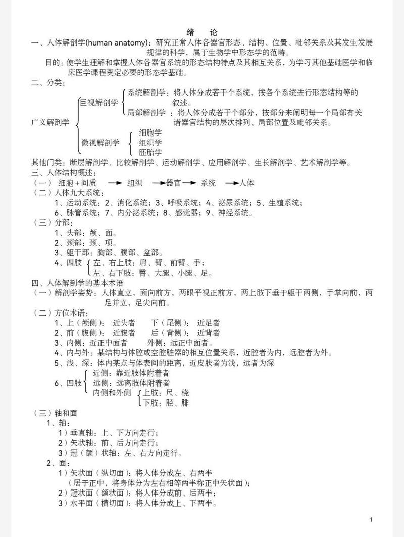 文章中的解剖学知识-文章中的解剖学知识点