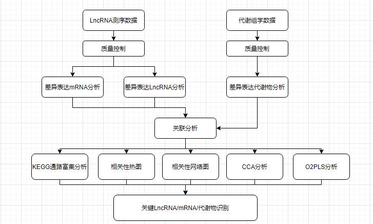 代谢组学数据分析-代谢组学数据分析流程