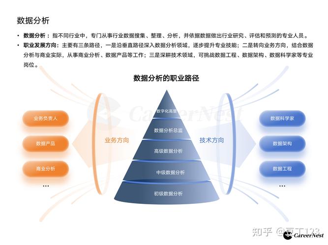 数据分析待遇怎么样(数据分析工作好找吗)