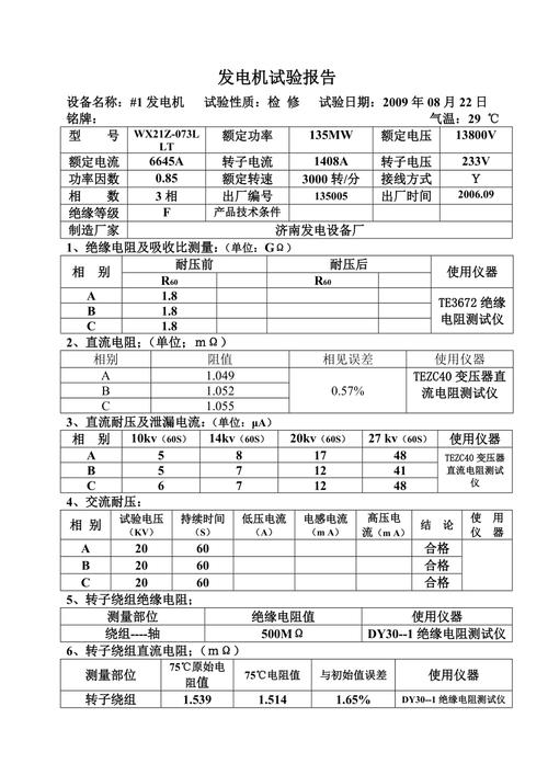 新能源电机检测-新能源电机检测实训报告